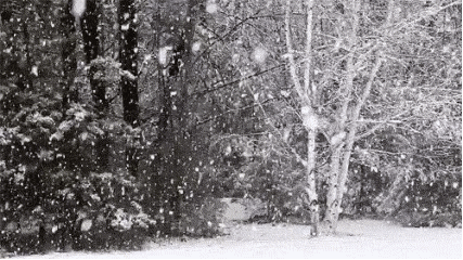 今冬將現(xiàn)拉尼娜 農(nóng)業(yè)如何應(yīng)對低溫雨雪大風(fēng)